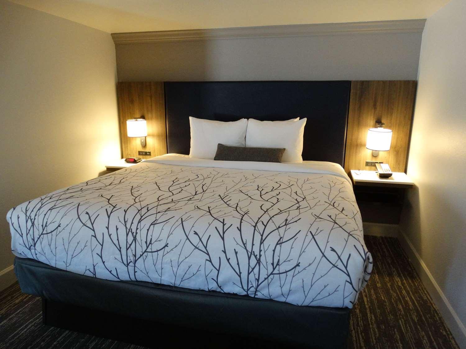 Best Western Premier Denver East Pokój zdjęcie